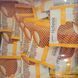 Вафлі бельгійські Салекс 33г купити в Україні